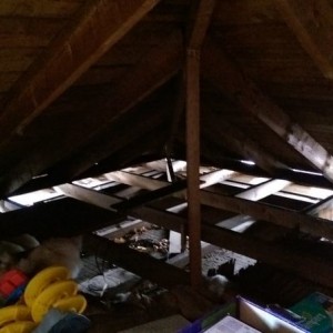 I think I need insulation...