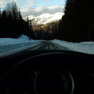 GNP