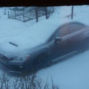 Shitty pic of the'15. SIT(dusting of)S.