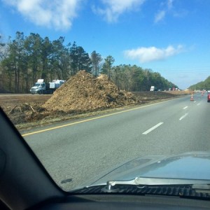Mulch anyone?