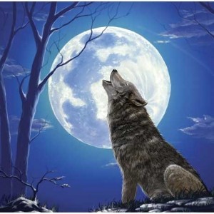 300_lonewolf_image