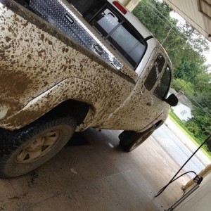 My taco