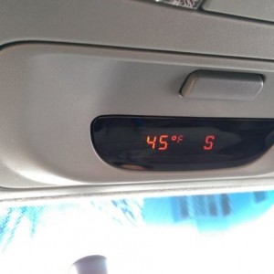Nice out today.