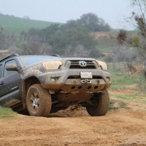 EDDO's Tacoma at La Grange