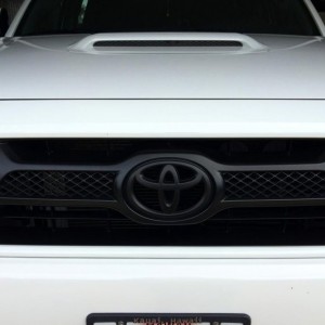grille30