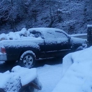 Hauling in the cord wood