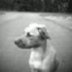 Photo0071