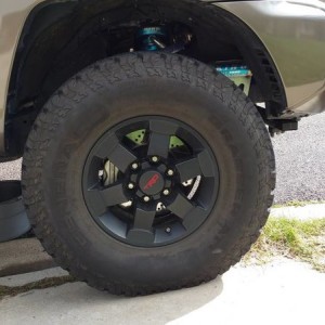Front Shot
