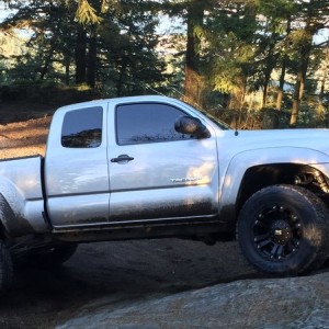 silver tacoma access cab