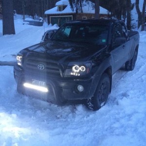 Tleland08 trd