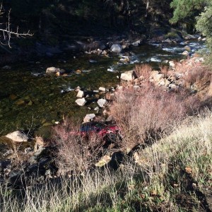 What a ride! Hit a deer, bounced off a rock face twice, shot across the oth