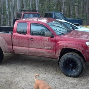 05' Tacoma TRD