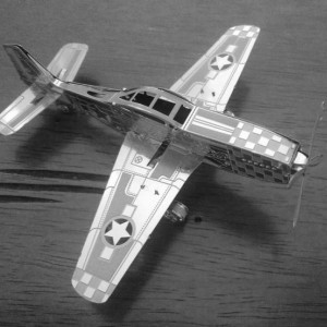 Finished P 51.