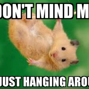don-t-mind-me-i-m-just-hanging-around