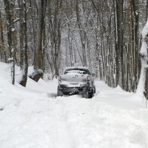 3rd Annual KY/TN March Land Between the Lakes Meet