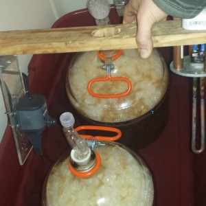 fermentation temp controller (heat only)