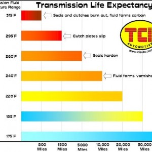 trans_life_expectancy