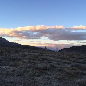 IMG_22172