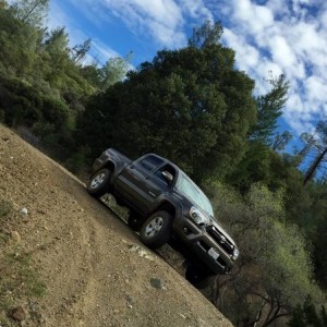 TRD Sport