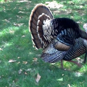 Just another day in the parking lot...