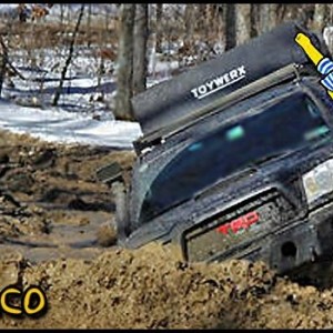 homertacocrossing1