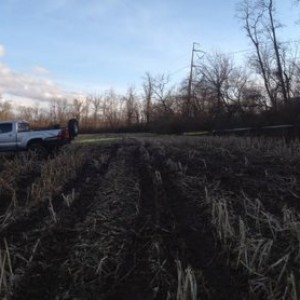 Had to strap to a tree to winch a big ass cummins out today