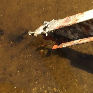 Boat lift. 10 years in salt water = 05 tacoma frame