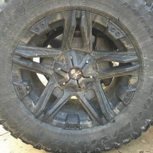 American Outlaw Hollywood 17x8.5