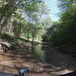 G0032385