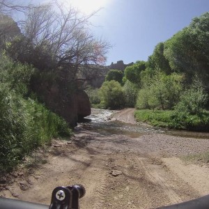 G0032368