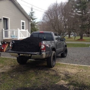 A yard of mulch.