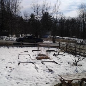 20150403_152756