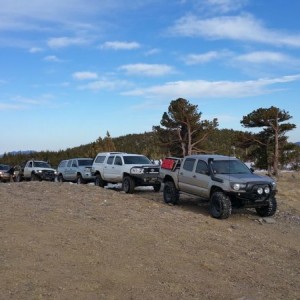 livefjSIpi