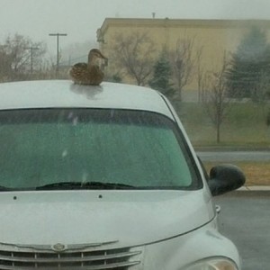 I thought i was hallucinating...