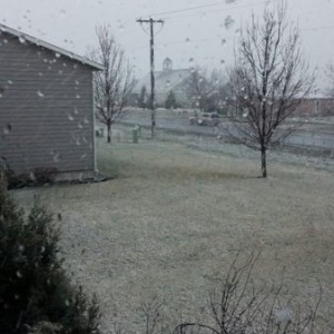 :rant: what happened to spring!?!?