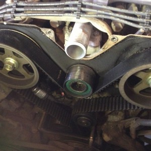 I can see its insides :eek: