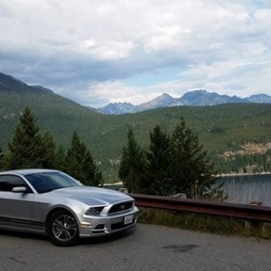 Stang1