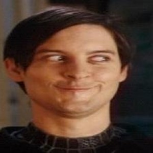 81261988