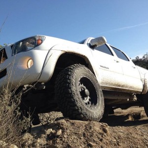 Flexing