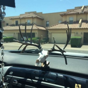 TacoAntlers