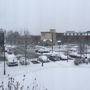 What is that white stuff?m