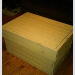 Finally finished my coffe table/toybox