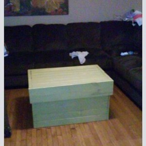 Excuse the messy sectional and crappy resolution