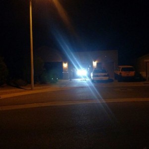 FBT and working. These things are freaking bright.