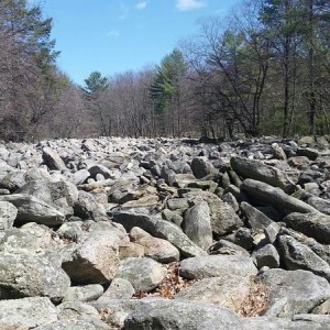 Rausch Creek 4/11/15