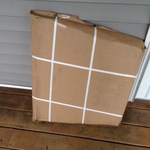 A gift from the FedEx guy.