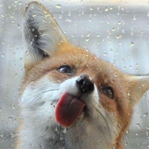 image14060