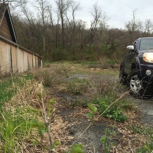 Tall weeds