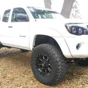 Sittin pretty