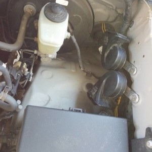 horn placement